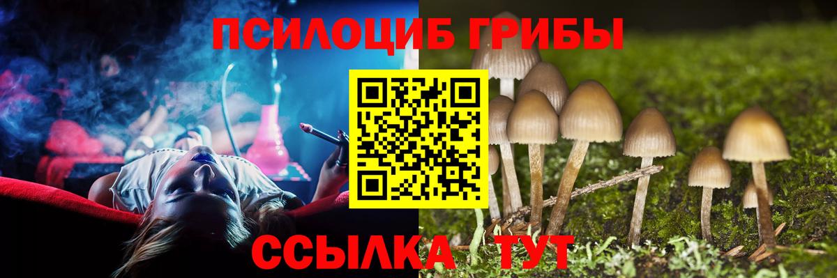 как найти закладки  Псилоцибиновые грибы Psilocybe  Вход с VPN  Псилоцибиновые грибы Psilocybine cubensis  Солнечногорск 